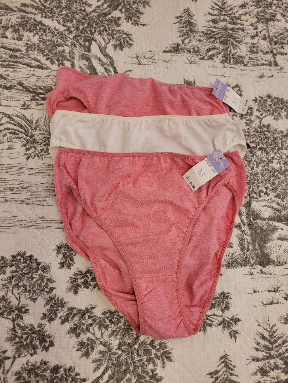 3 Pairs of St Eve Cotton French Cut Panties Size 6  Medium NWT